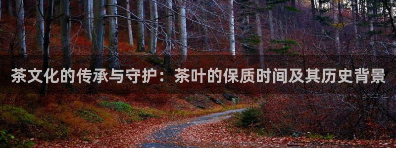 下载苹果手机版彩名堂