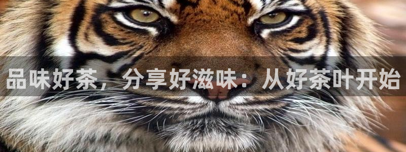 彩名堂免费计划使用方法