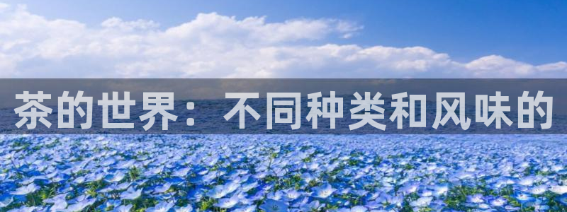 彩名堂免费计划官网5.0版下载链接
