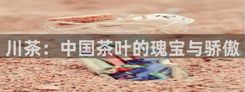 彩名堂合作655560