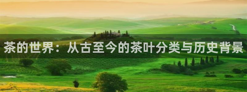 彩名堂怎么选稳定计划产品