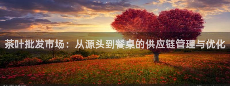 彩名堂计划软件下载