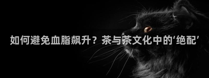 彩名堂排三