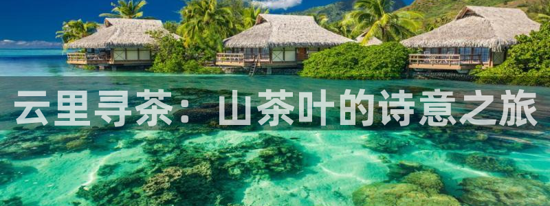 彩名堂幸运飞船计划