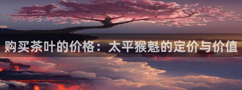 彩名堂官网网页计划