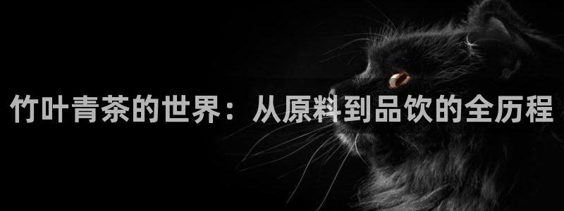 彩名堂怎么跟计划才不连挂