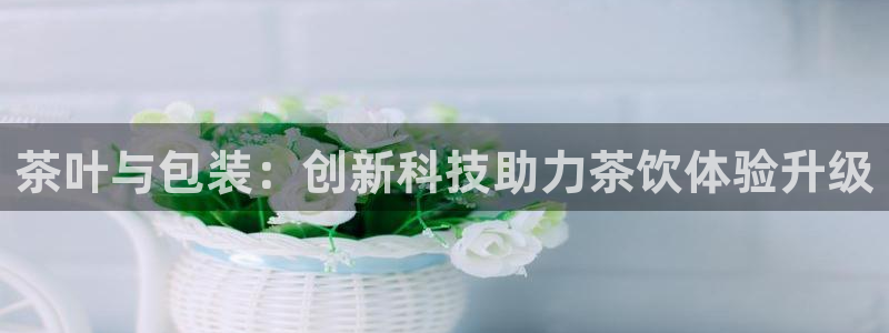 彩名堂预测软件