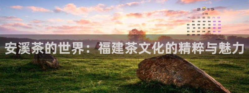 彩名堂预测计划