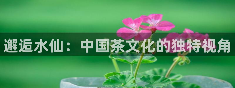 彩名堂怎么跟计划才不连挂在一起