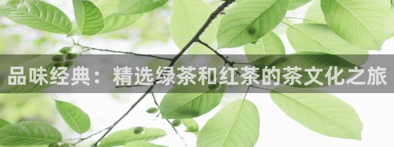 彩名堂预测官网