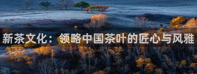 彩名堂怎么跟计划才不连挂在一起