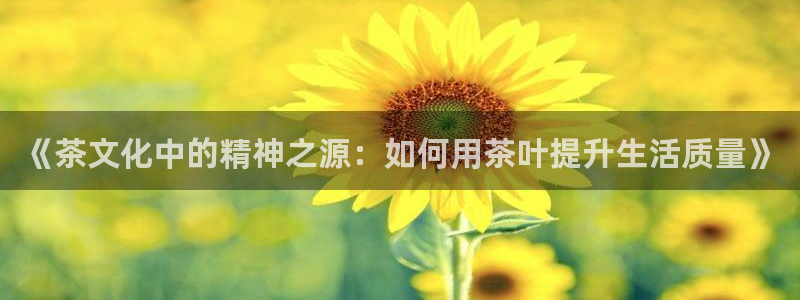 彩名堂5.0计划