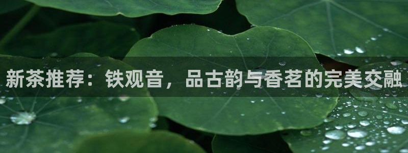 彩名堂跟哪种最好用