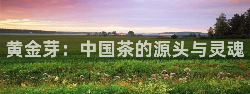 彩名堂一直不出结果怎么回事儿