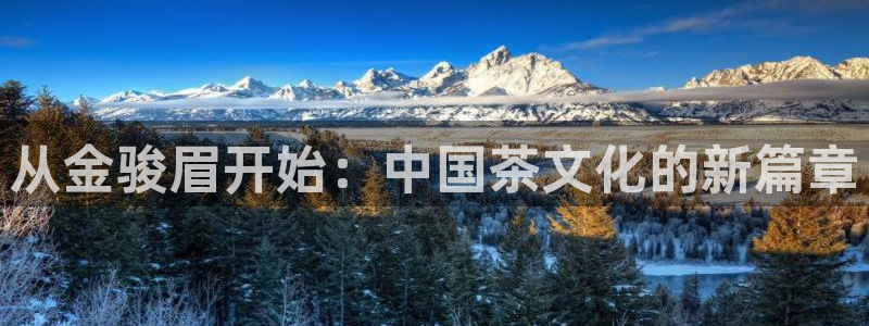 彩名堂免费计划下载