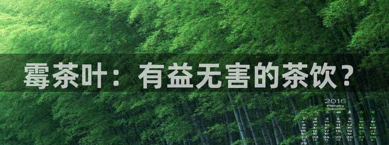 彩名堂是正规的公司吗