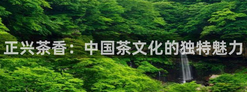 彩名堂免费计划官网怎么进不去了呀