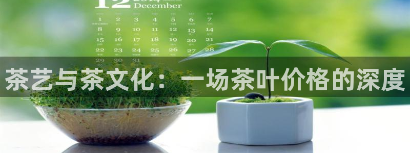 彩名堂怎么打不开了