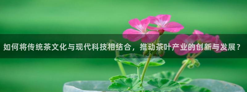 老版本彩名堂计划软件