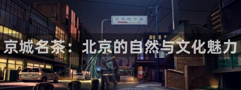 彩名堂最新计划下载地址