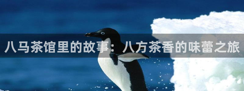 彩名堂最新免费计划官网