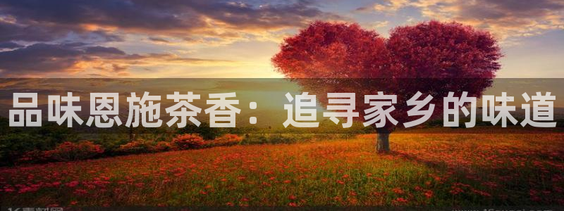 彩名堂免费计划下载