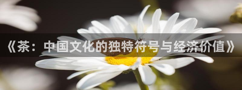 彩名堂免费计划官网怎么进不去了