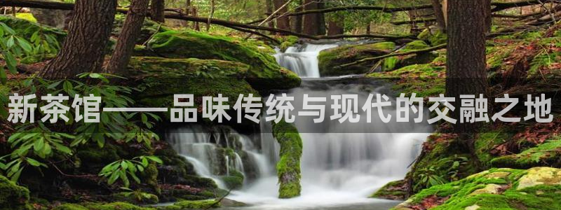 彩名堂幸运飞船计划