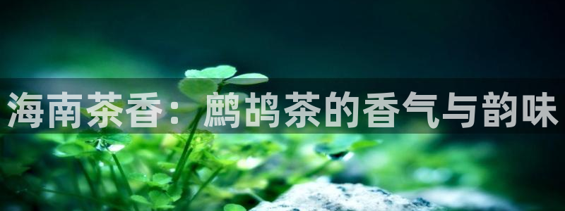 彩名堂