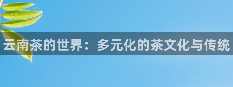 彩名堂预测网站
