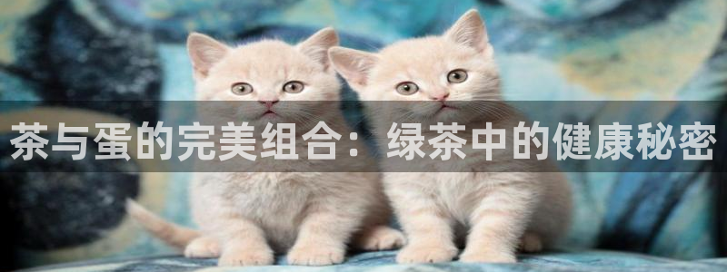 为什么彩名堂今天不能用