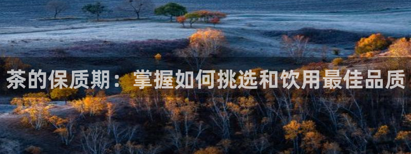 彩名堂app下载5.1.0