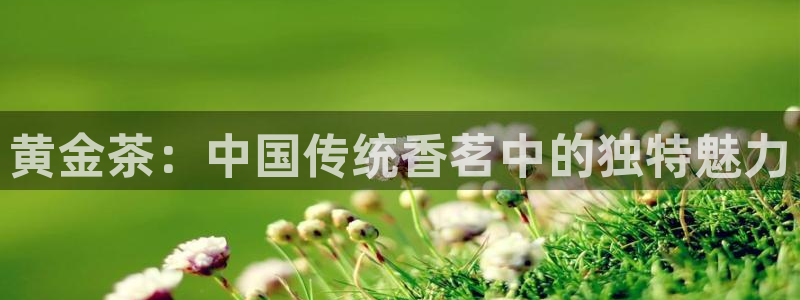 彩名堂预测计划软件